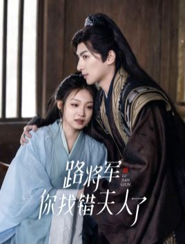 路将军你找错夫人了全集