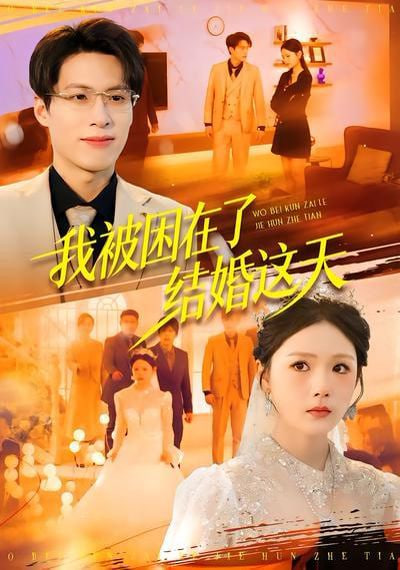 我被困在了结婚这天全集