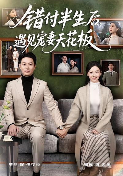错付半生后，遇见宠妻天花板全集