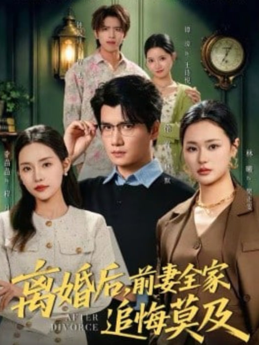 离婚后，前妻全家追悔莫及全集