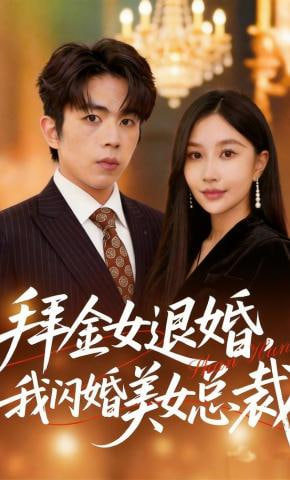拜金女退婚，我闪婚美女总裁全集