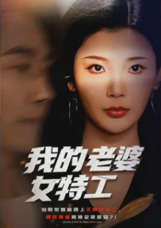 我的老婆女特工全集