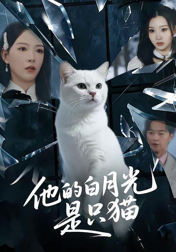 他的白月光是只猫全集
