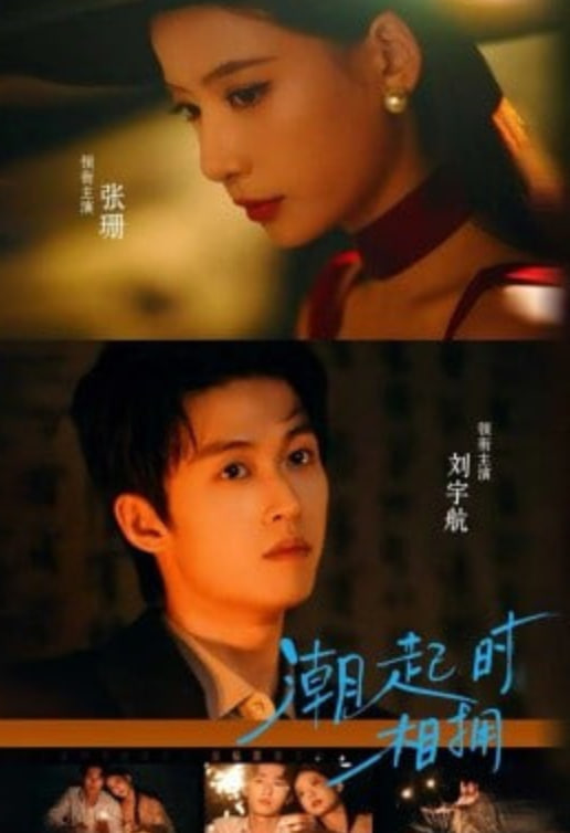 潮起时相拥全集