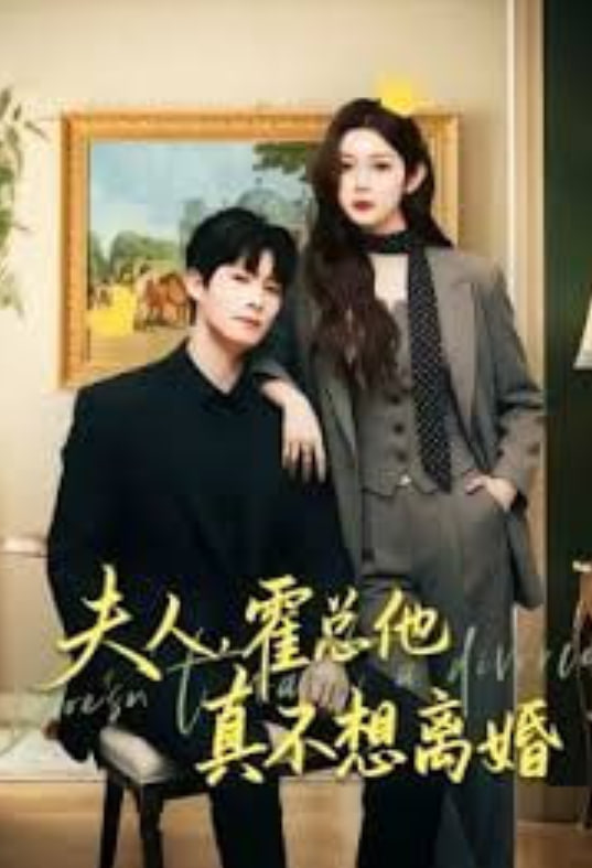 夫人，霍总他真不想离婚全集