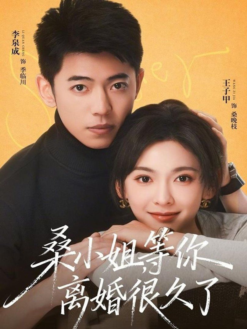 桑小姐，等你离婚很久了全集