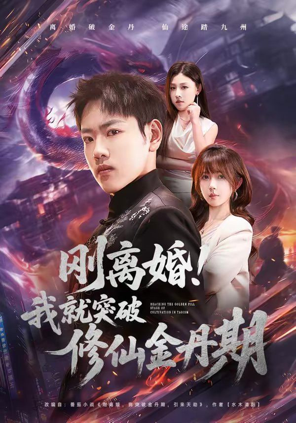 刚离婚！我就突破修仙金丹期全集