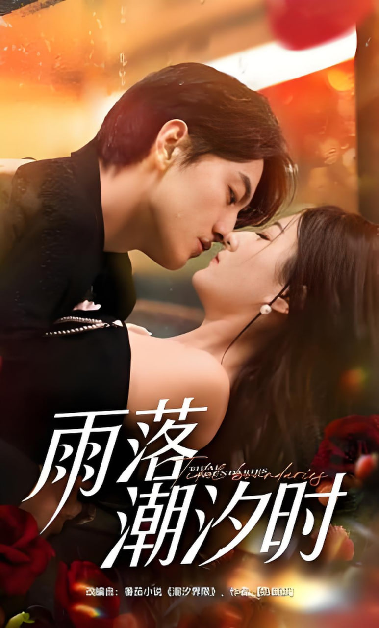 雨落潮汐时全集