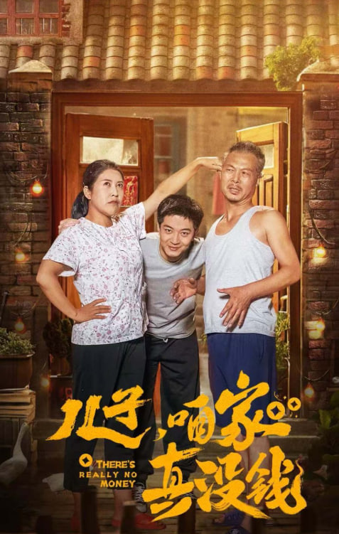 儿子咱家真没钱全集