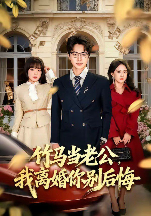 竹马当老公，我离婚你别后悔全集