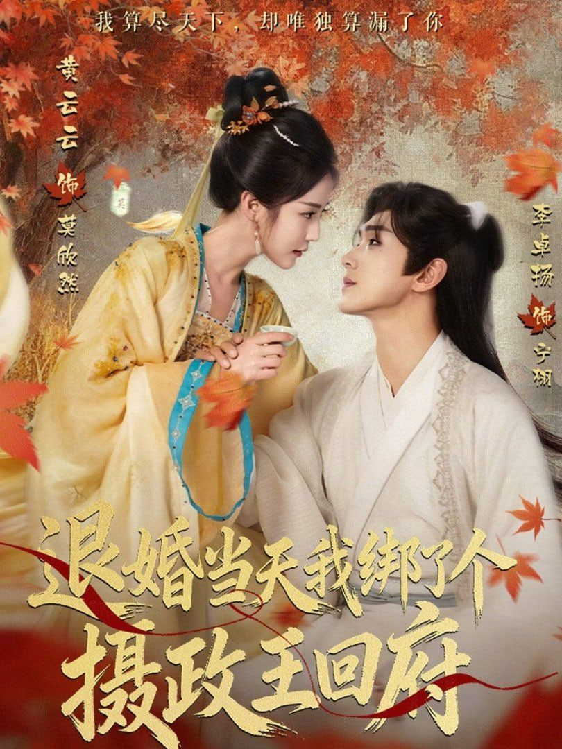 退婚当天我绑了个摄政王回府全集