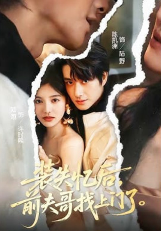 装失忆后，前夫哥找上门了全集