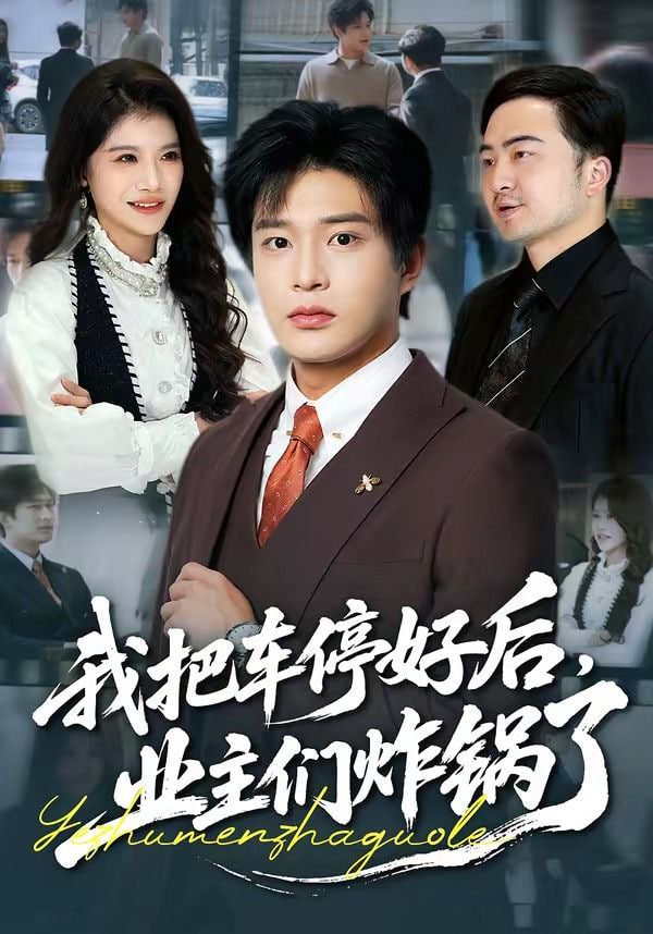 我把车停好后，业主们炸锅了全集