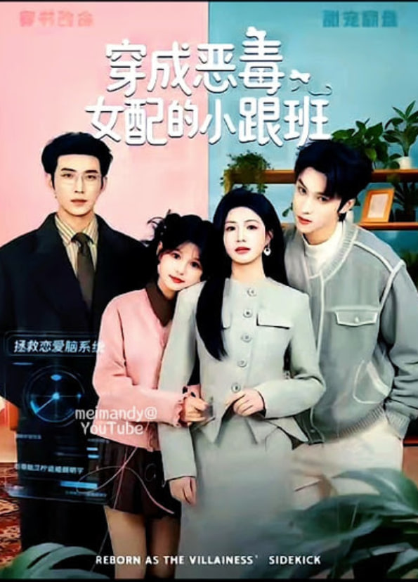 穿成恶毒女配的小跟班全集