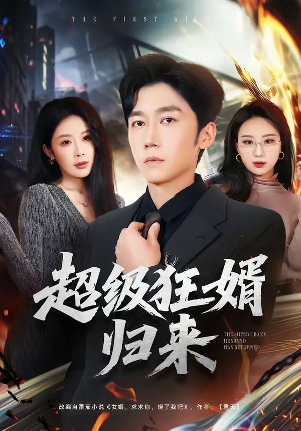 超级狂婿归来全集