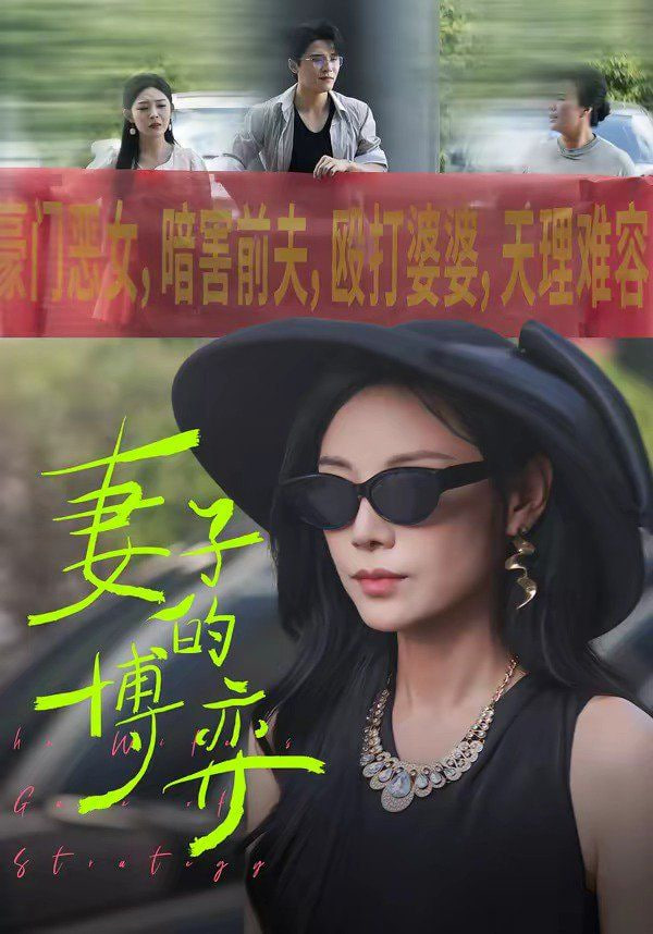 妻子的博弈全集