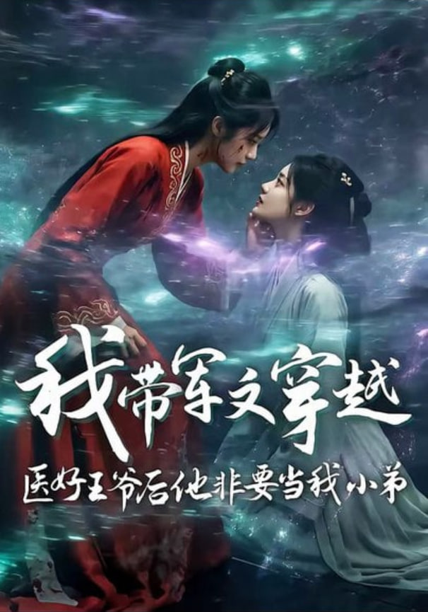 我带军文穿越医好王爷后他非要当我小弟全集