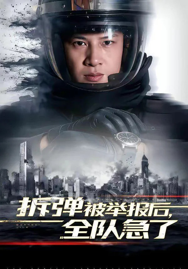 拆弹被举报后，全队急了全集