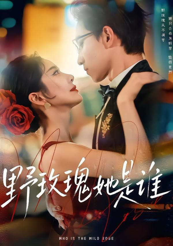 野玫瑰她是谁全集