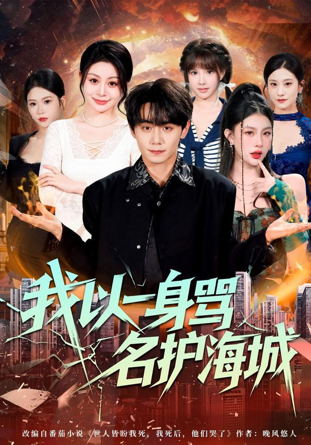 我以一身骂名护海城全集