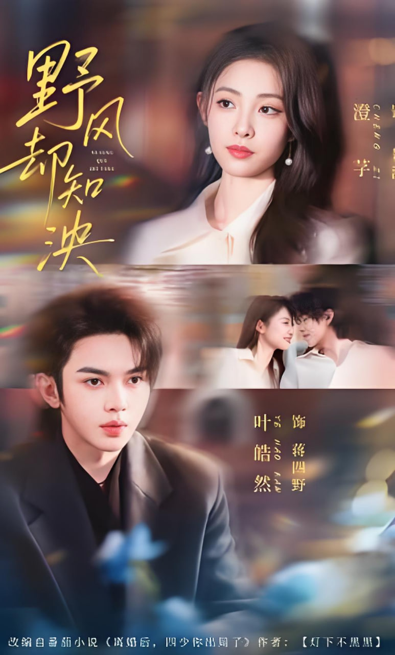 野风却知泱全集