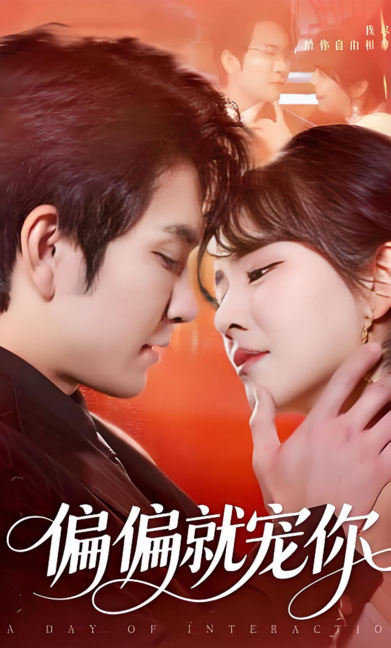 偏偏就宠你全集