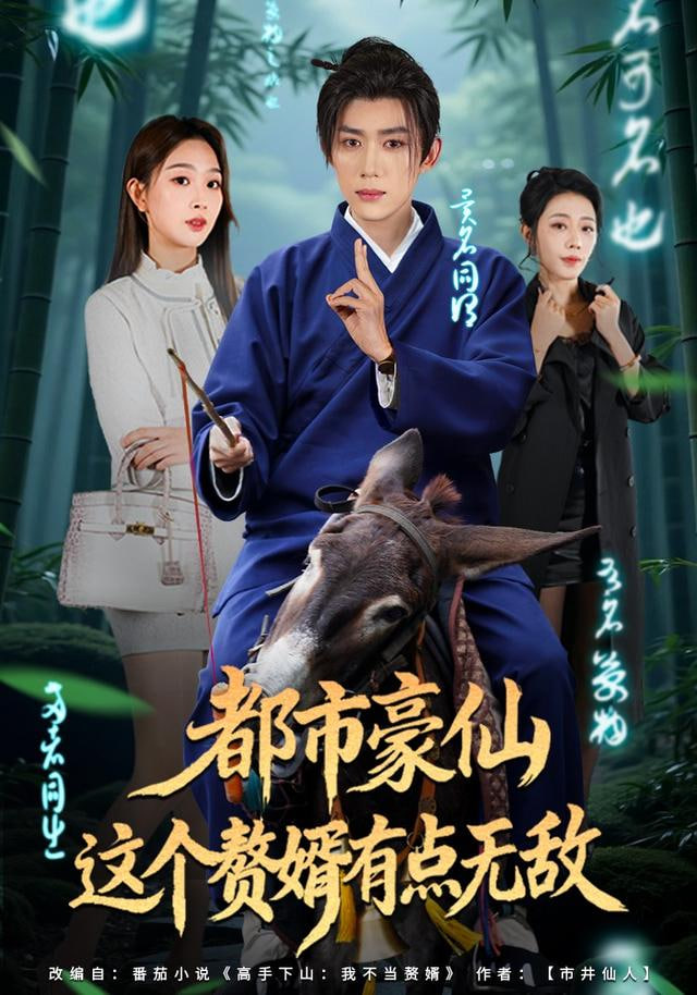 都市豪仙，这个赘婿有点无敌全集