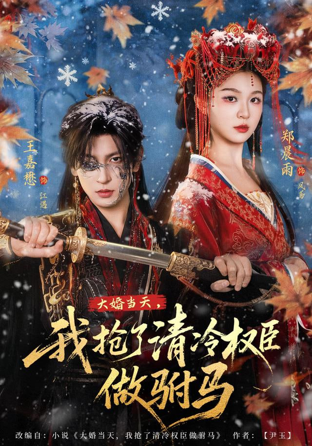 大婚当天，我抢了清冷权臣做驸马全集