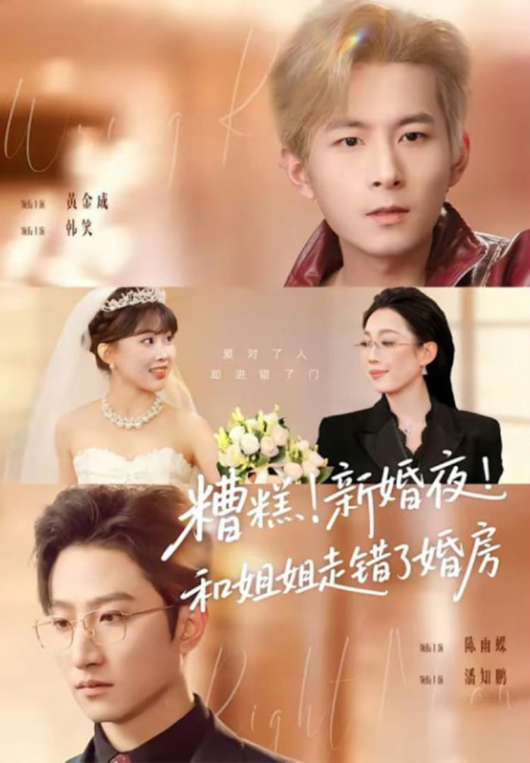 糟糕！新婚夜！和姐姐走错了婚房(糟糕新婚夜和姐姐走错了婚房)全集