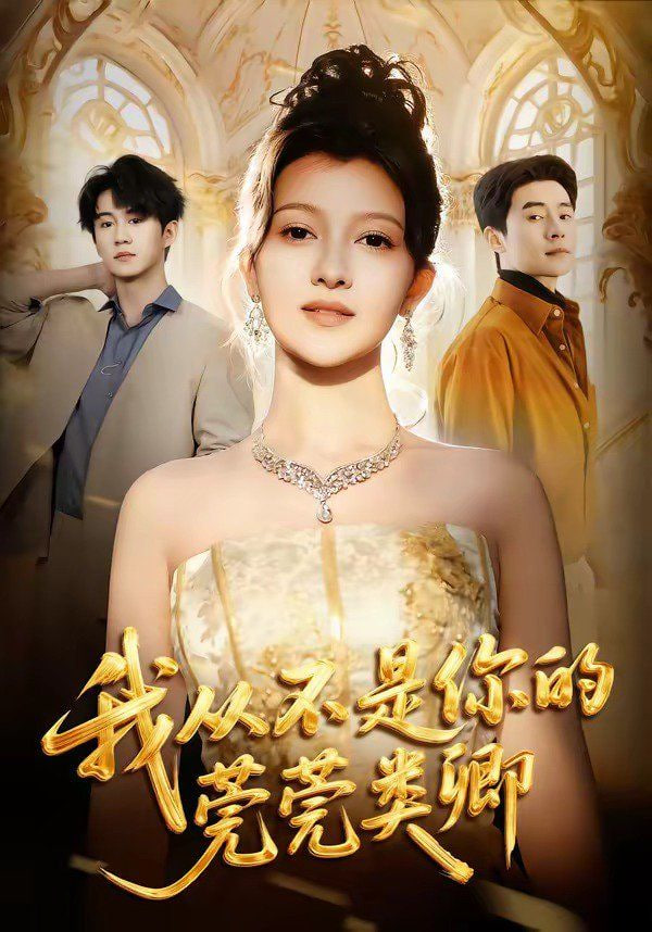 我从不是你的莞莞类卿全集