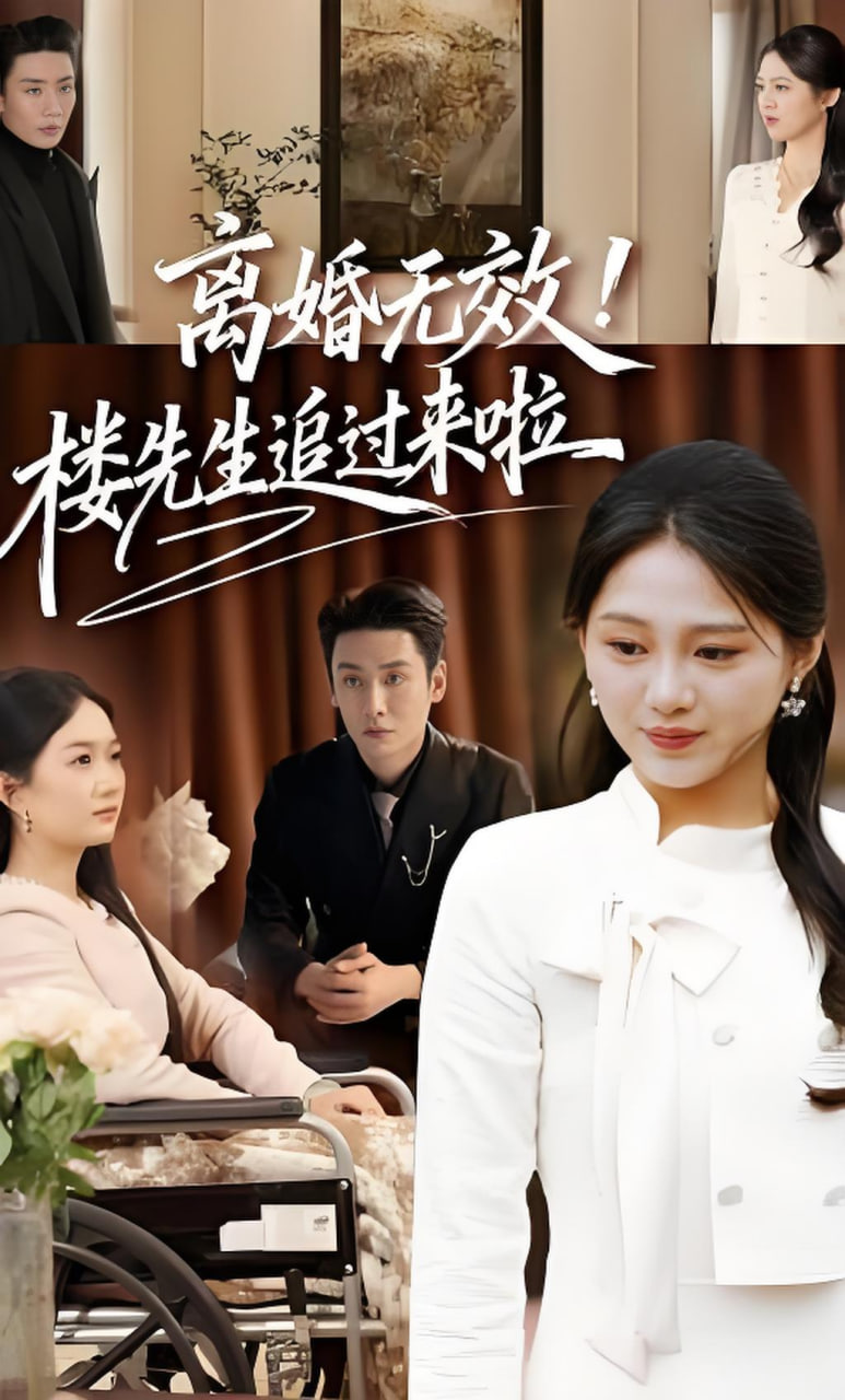 离婚无效！楼先生追过来啦全集