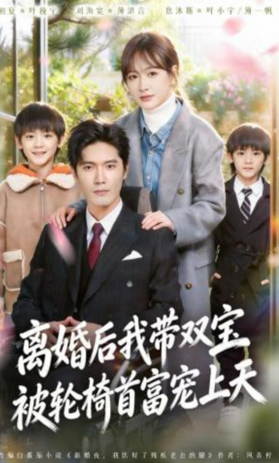 离婚后我带双宝被轮椅首富宠上天（离婚后），我被轮椅首富宠上天全集