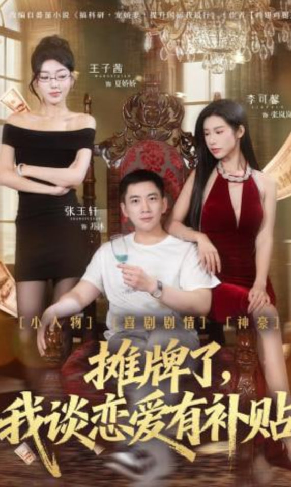 摊牌了，我谈恋爱有补贴全集