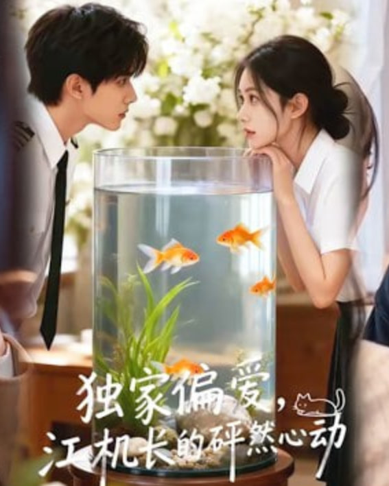 独家偏爱，江机长的砰然心动&恋心月下全集