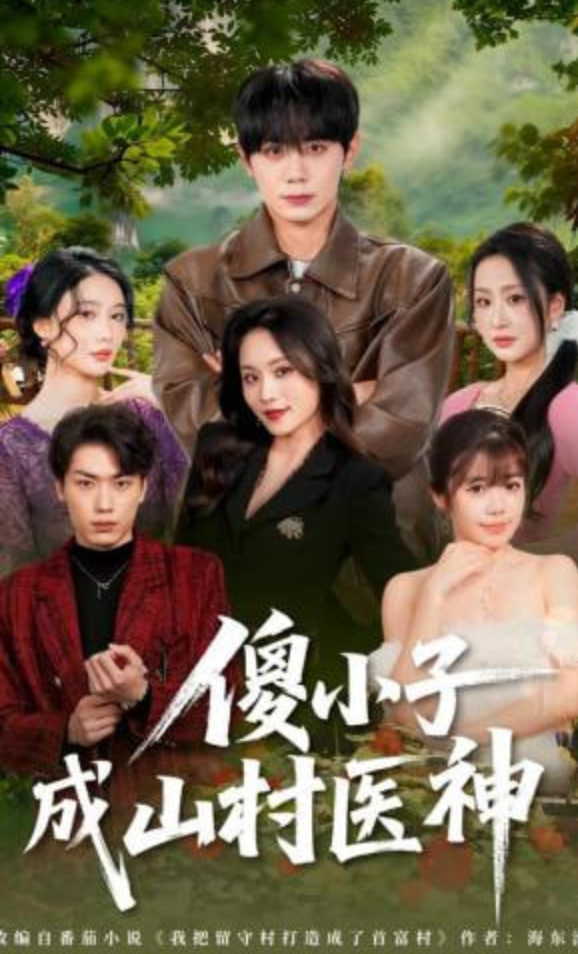 傻小子成山村医神全集