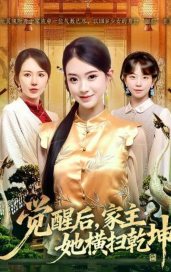 觉醒后，家主她横扫乾坤全集