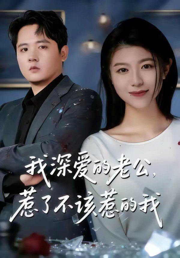 我深爱的老公，惹了不该惹的我全集