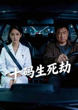 十码生死劫全集