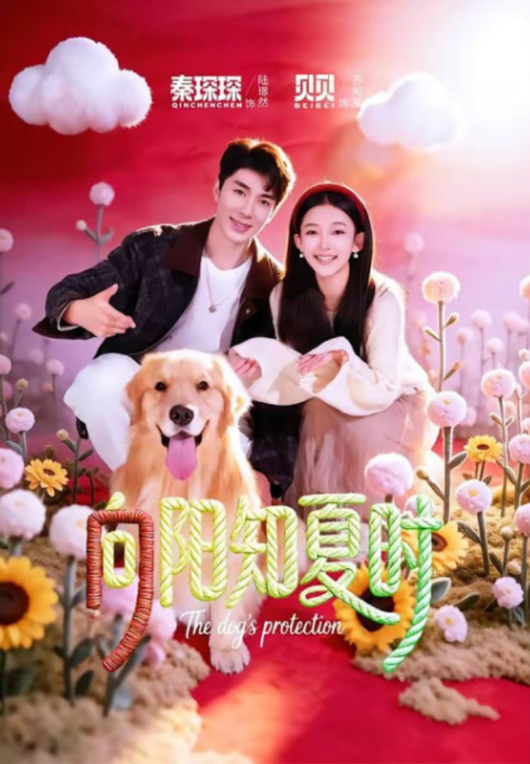 向阳知夏时全集