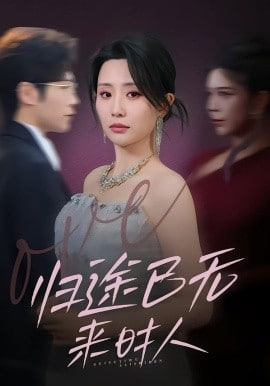 归途已无来时人全集