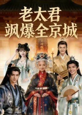 老太君飒爆全京城全集