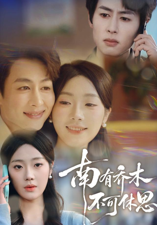 南有乔木，不可休思全集