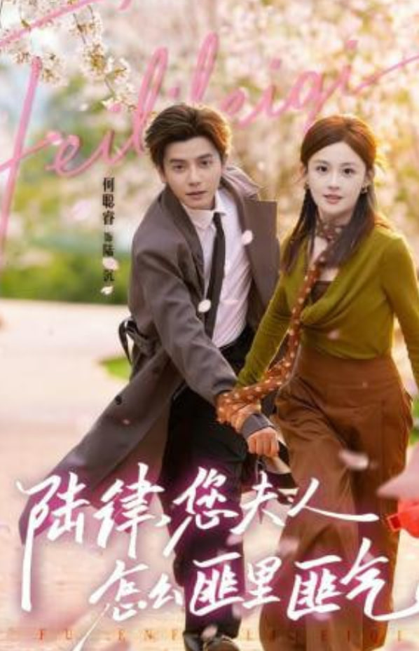 陆律，您夫人怎么匪里匪气全集