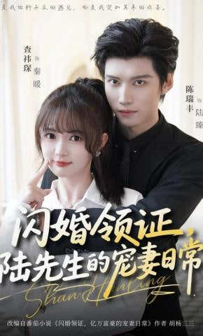 闪婚领证，陆先生的宠妻日常全集