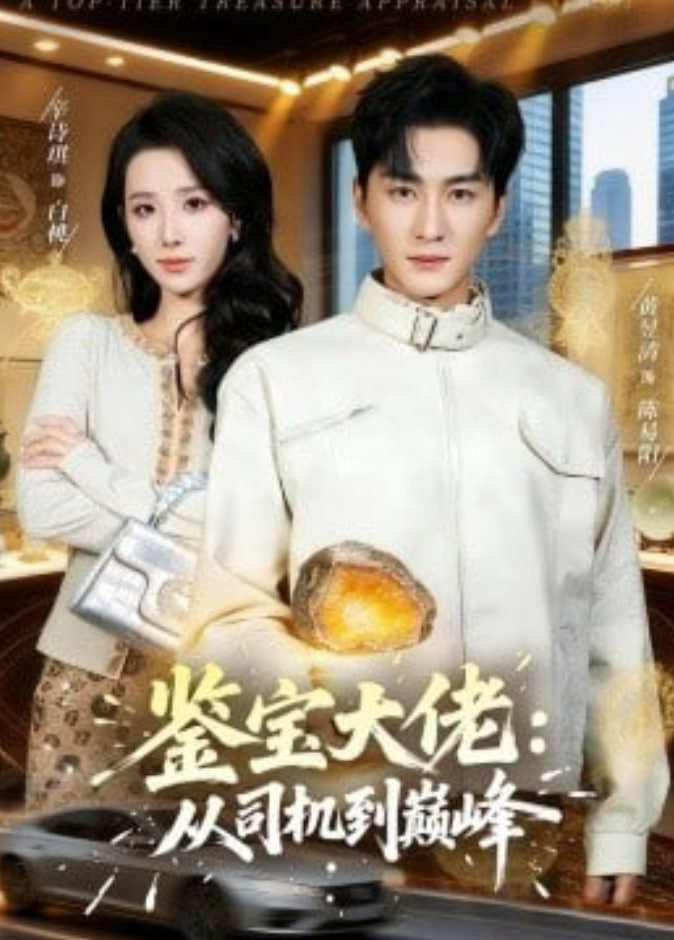 鉴宝大佬： 从司机到巅峰全集