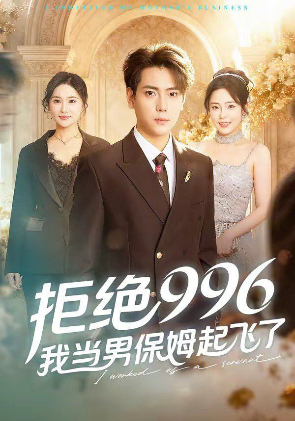 拒绝996，我当男保姆起飞了全集
