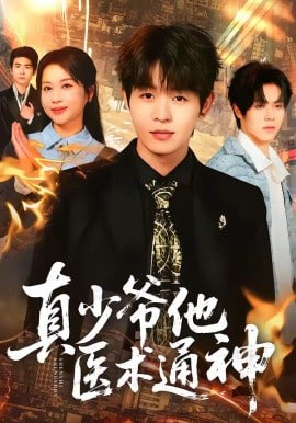 真少爷他医术通神全集