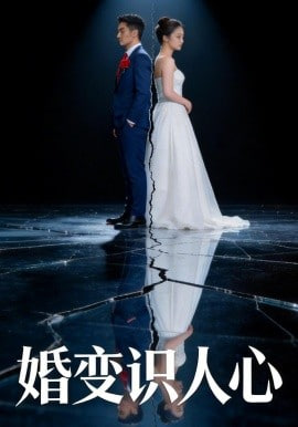 婚变识人心全集