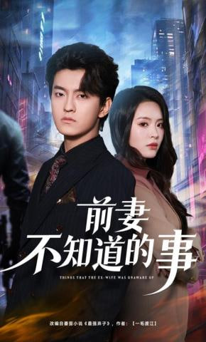 前妻不知道的事全集