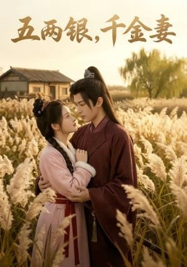 五两银，千金妻全集